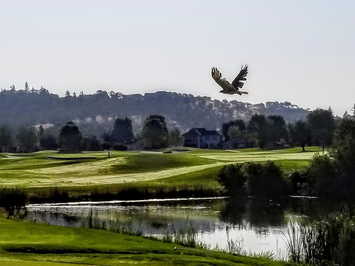 Resort At Eagle Point Golf Club Lodging Exteriör bild