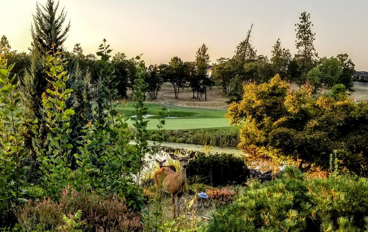 Resort At Eagle Point Golf Club Lodging Exteriör bild