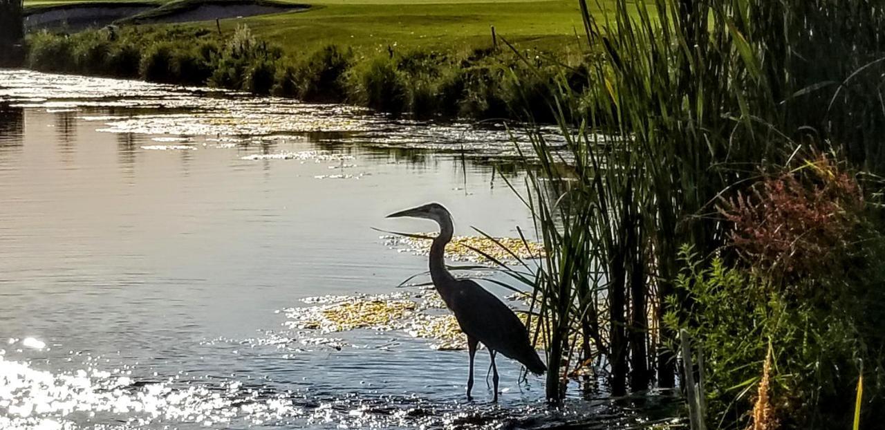 Resort At Eagle Point Golf Club Lodging Exteriör bild